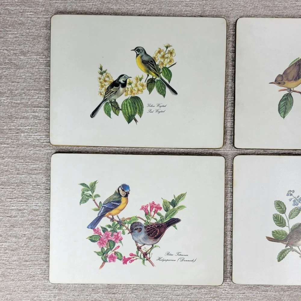VTG Lady Clare Bird Luncheon Placemats Set 4 Felt Back England Warbler Bunting